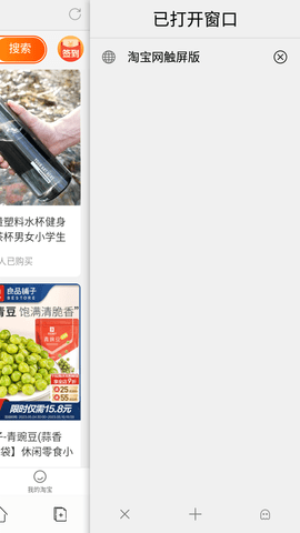 闪电浏览器最新版