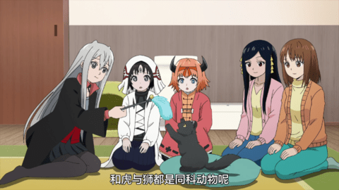 Quick播TV(附接口链接)