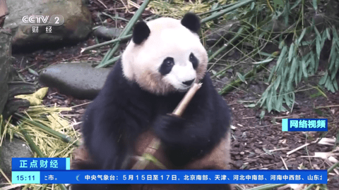 泰山TV电视盒子版