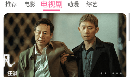 疾风影视TV版