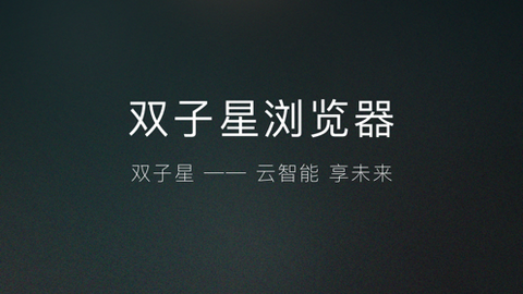 双子星浏览器无限制版