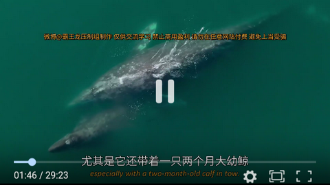 西瓜电影去广告版