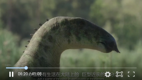 电影码头去广告版