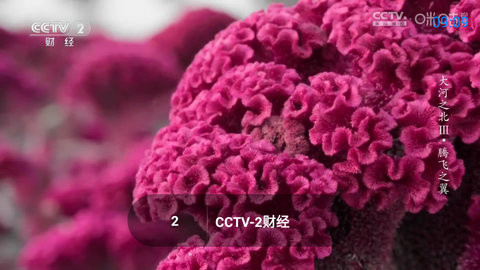TVBoxmax免费版