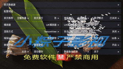 小粽子影视盒子去广告版