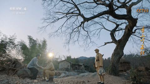 雄鹰直播TV版