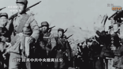 雄鹰直播安卓版