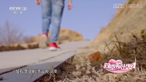 随缘TV电视盒子版