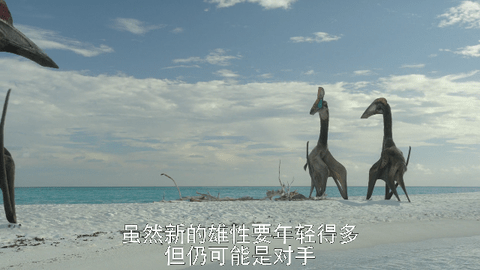 MG视频TVbox免费版