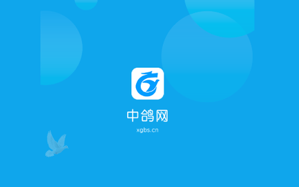 中鸽网2023最新版