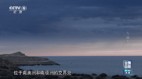 ZTHAIPTV电视直播app