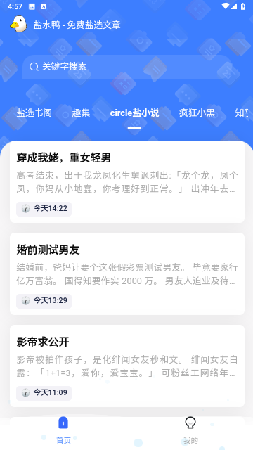 盐水鸭纯净版