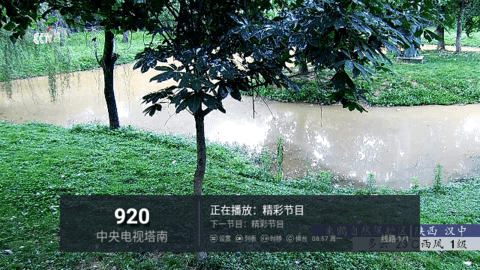黑白电视TV2023最新版