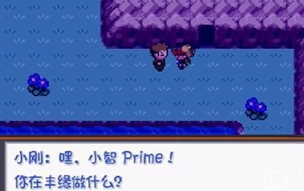 口袋妖怪燃之智汉化版