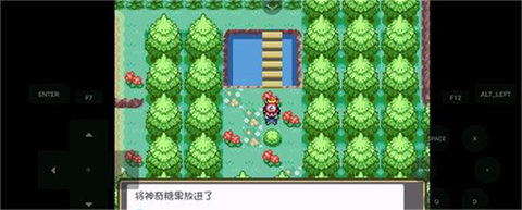 口袋妖怪燃之智中文版