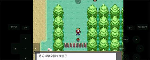 口袋妖怪燃之智中文版