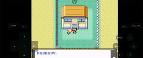 口袋妖怪燃之智中文版