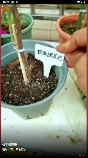 俏佳人影视去广告版