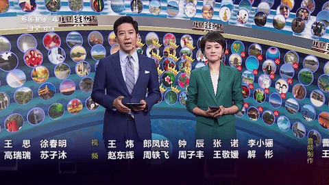 貂蝉TV去广告版