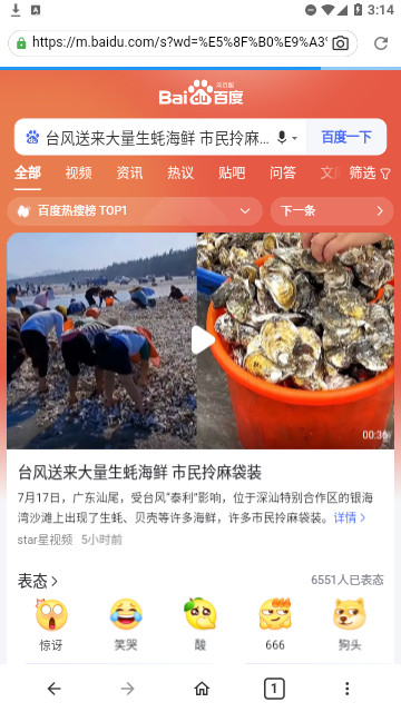 文件隐私浏览器官方版