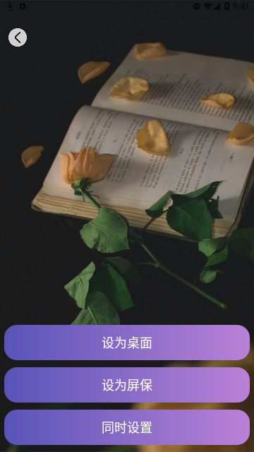 画与未来壁纸官方版