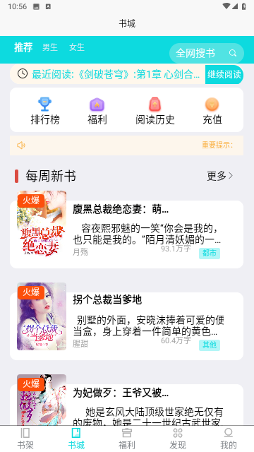 点众小说大全去广告版