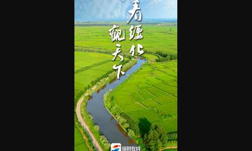 绥时在线App手机版