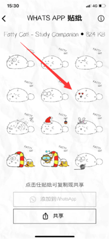 Fatty Cat2023最新版