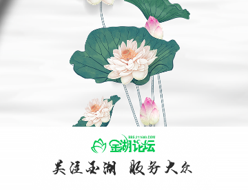 金湖论坛社区门户APP