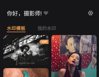 徕卡水印大师会员版