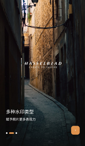 徕卡水印大师会员版