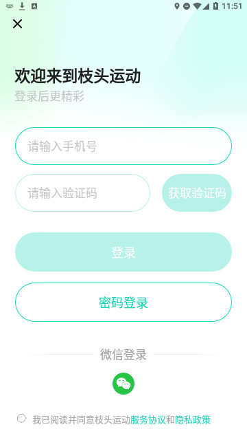 枝头运动官方版