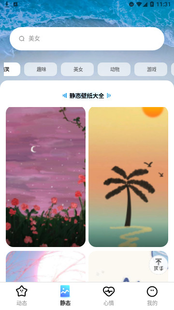 海星壁纸官方版