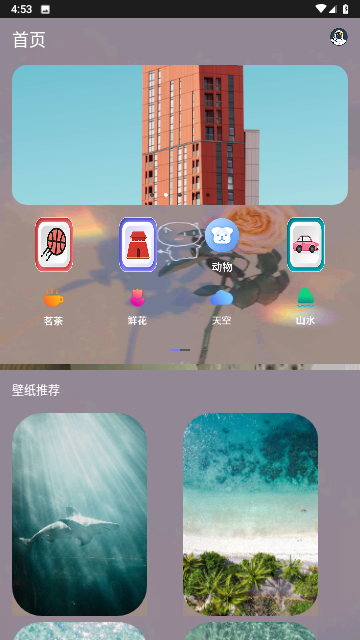 元气小熊壁纸无广告版