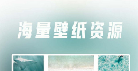 多多桌面壁纸官方版