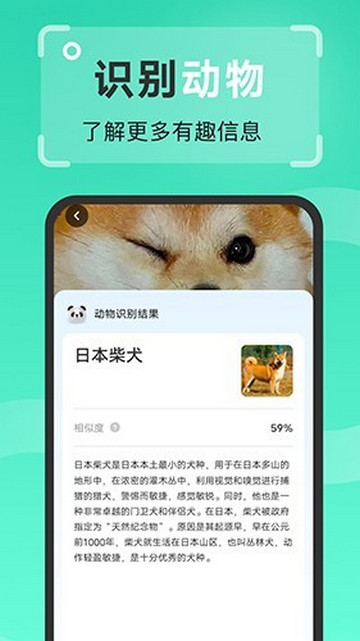 王牌扫描王官方版