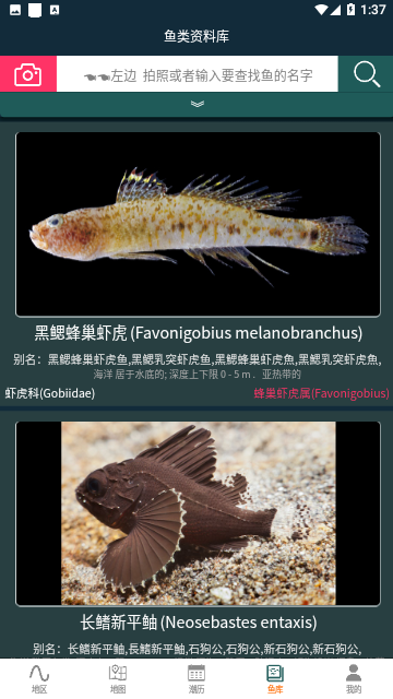 潮汐表精灵免费版