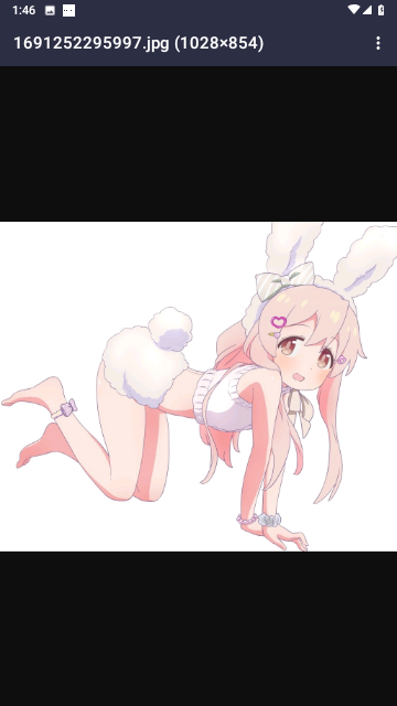 真寻壁纸库无广告版