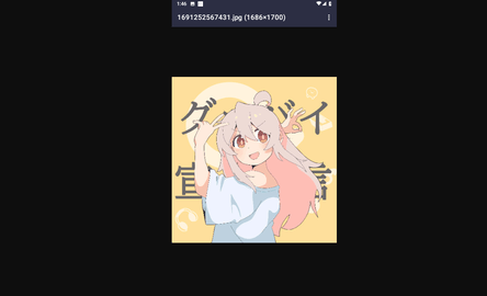 真寻壁纸库无广告版