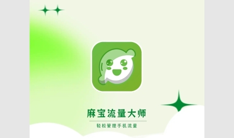 麻宝流量大师2023最新版