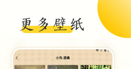 小鸟壁纸大全官方版