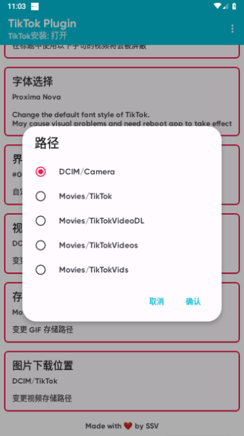 TikTok Plugin官方版