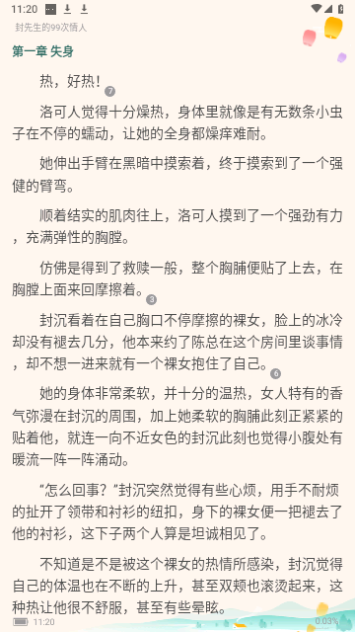 烧书阁无限制版
