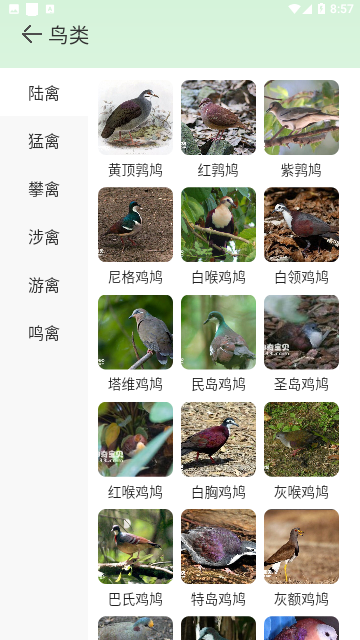 动物百科免费版
