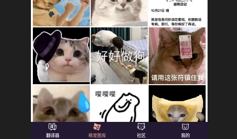 猫语翻译器最新版