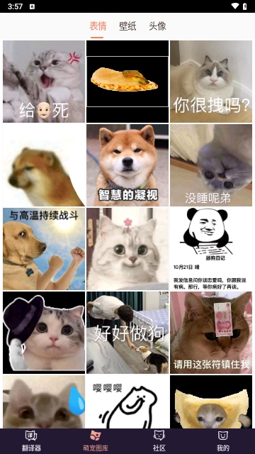 猫语翻译器最新版