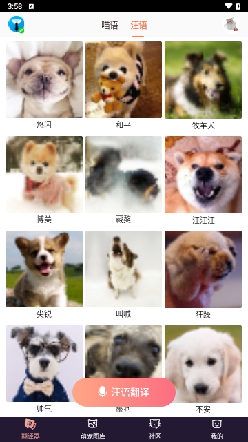猫语翻译器最新版