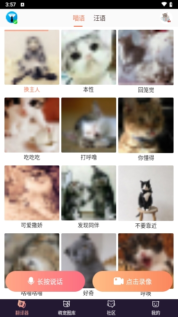 猫语翻译器最新版