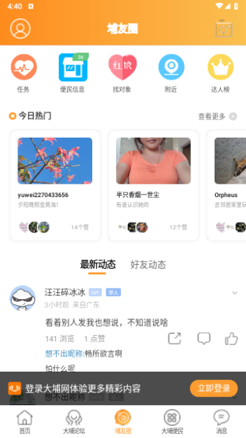 大埔网2024最新版