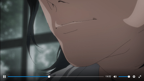libhd无广告版